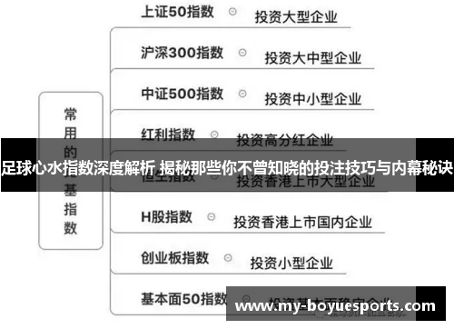 足球心水指数深度解析 揭秘那些你不曾知晓的投注技巧与内幕秘诀