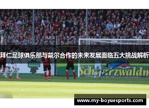 拜仁足球俱乐部与戴尔合作的未来发展面临五大挑战解析